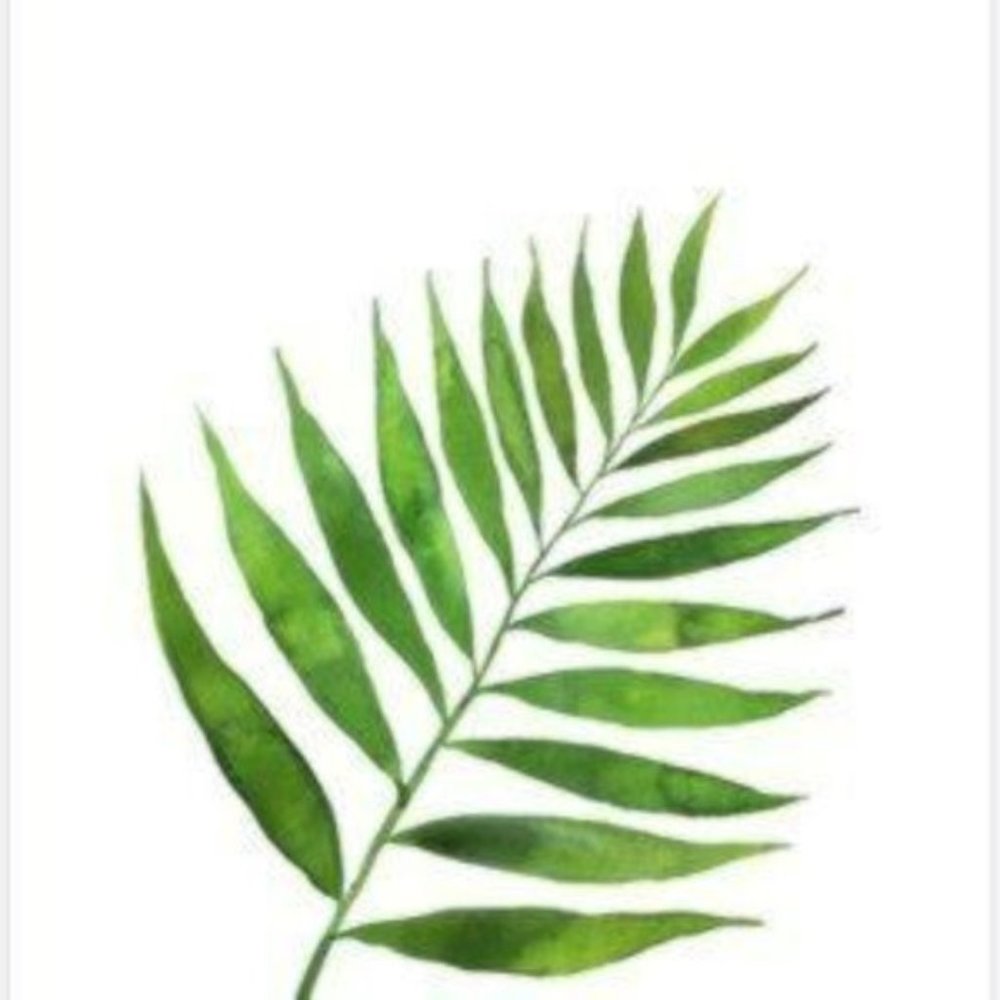 Large green leaves water-color art print. - Picture 2 of 2